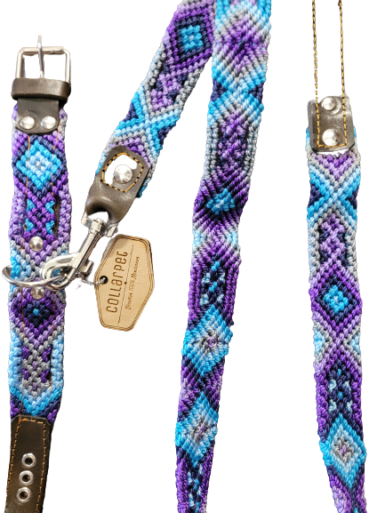 Collarpet Leash & Collar Combo