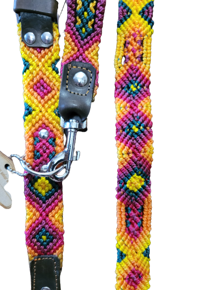 Collarpet Leash & Collar Combo