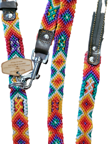 Collarpet Leash & Collar Combo