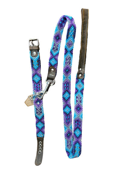 Collarpet Leash & Collar Combo