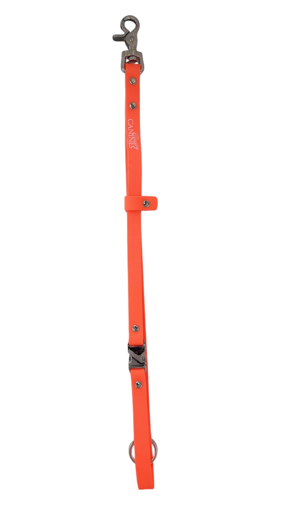 Loops, Belly Bands, Slip Leash & Groomer’s 3rd Hand