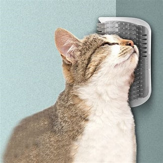 Cat corner brushes