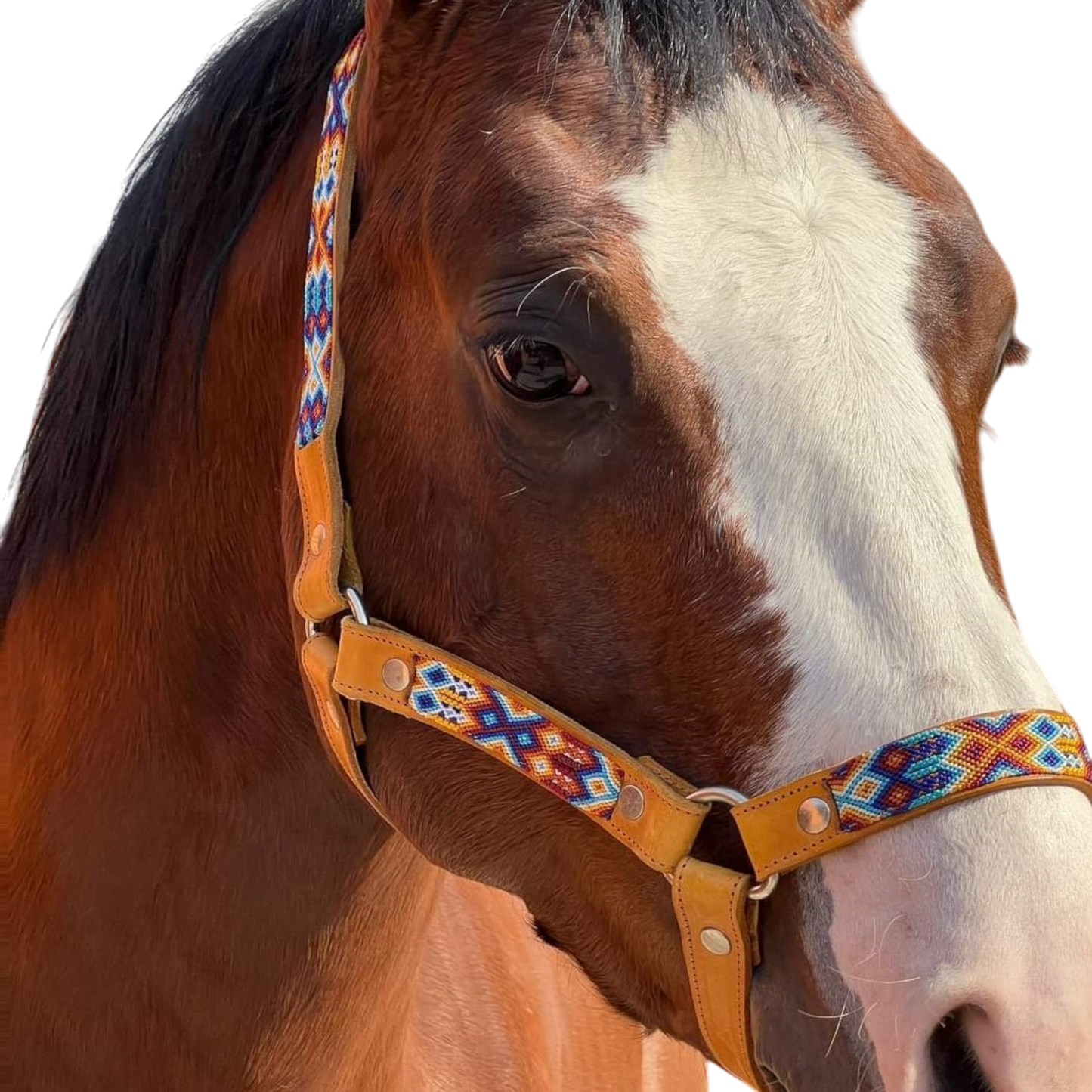 Collarpet Handmade Horse Halter