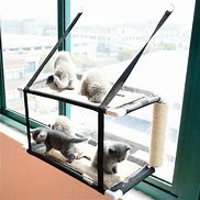 Cat Hammocks