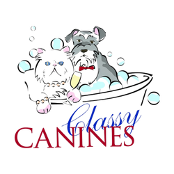 Classy Canines Pet Grooming Essentials