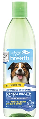 Fresh Breath Health Solution Advanced Whitening