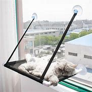 Cat Hammocks