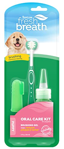 Fresh Breath Oral Care Kits