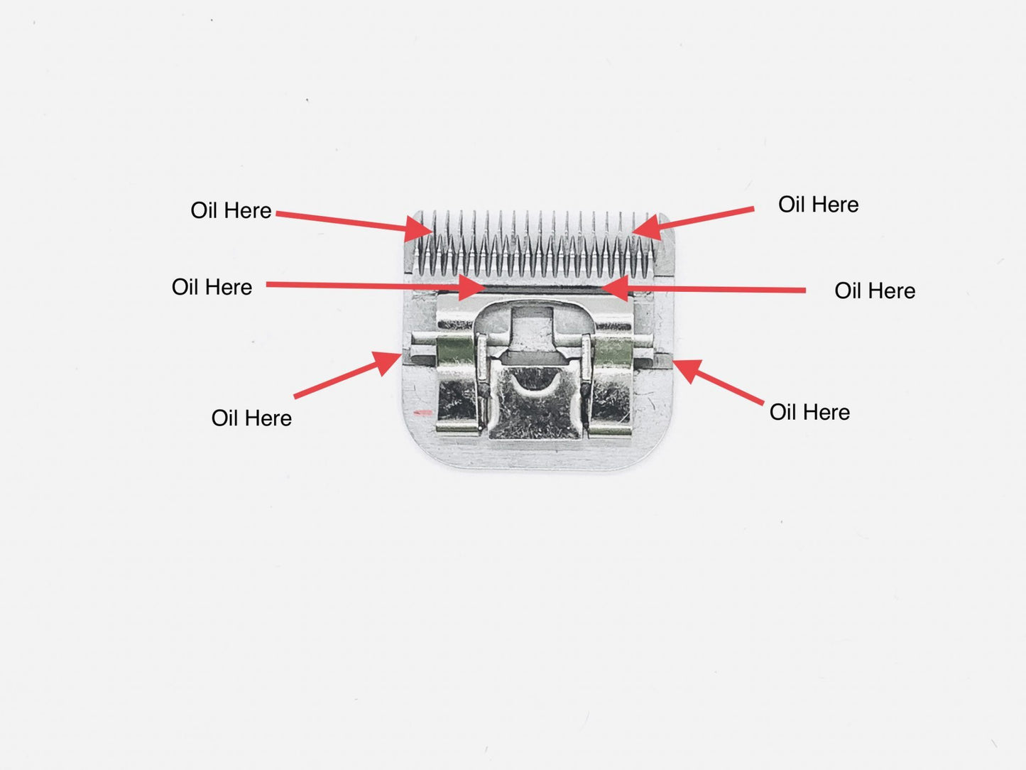 H-42 Clean Clippers Bundle