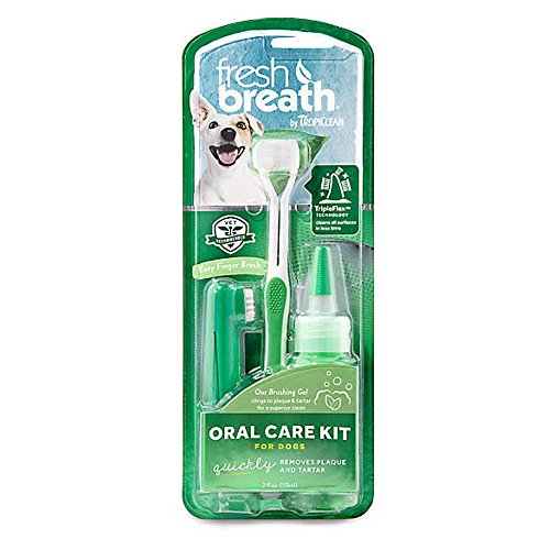 Fresh Breath Oral Care Kits