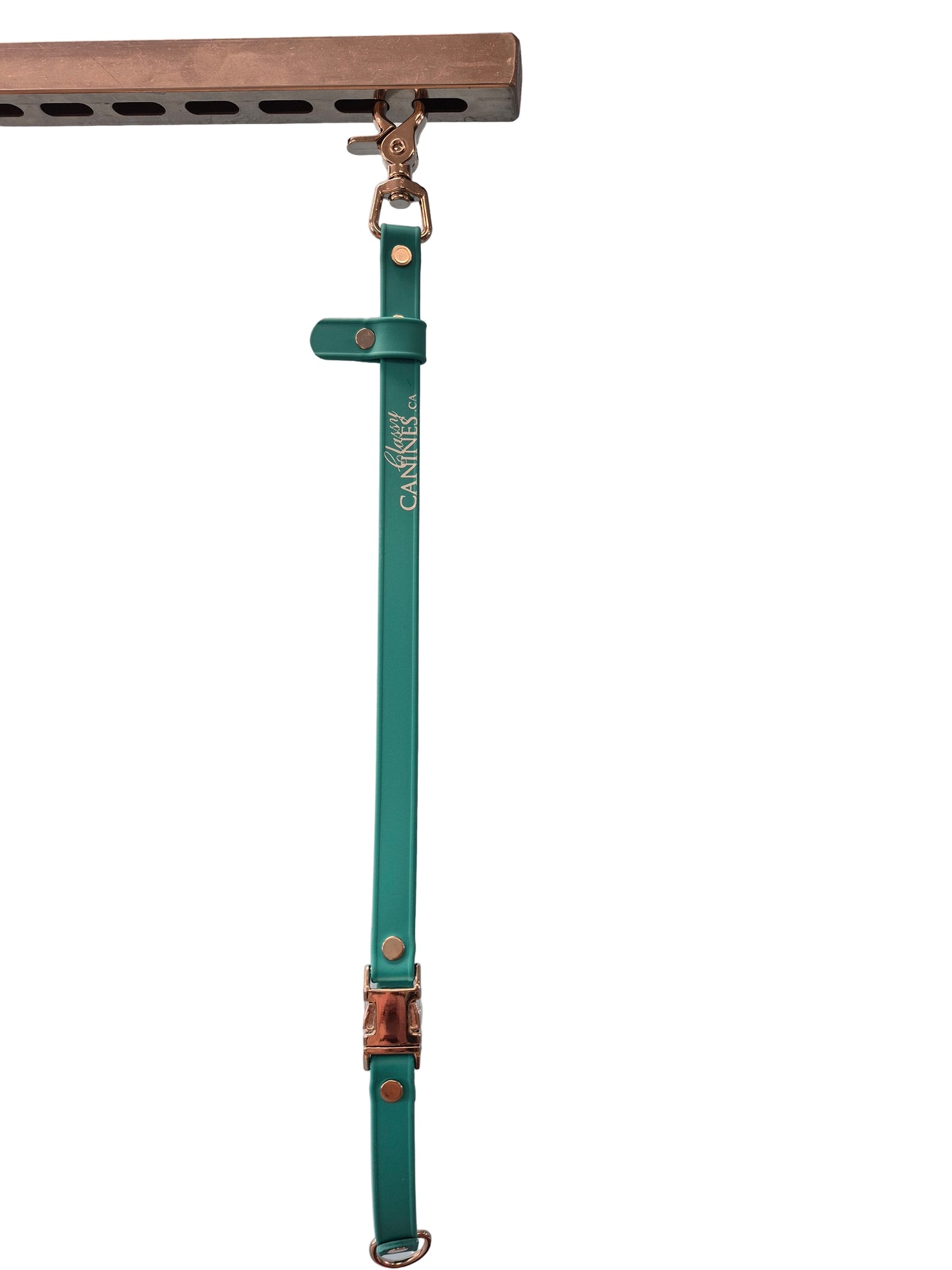Loops, Belly Bands, Slip Leash & Groomer’s 3rd Hand
