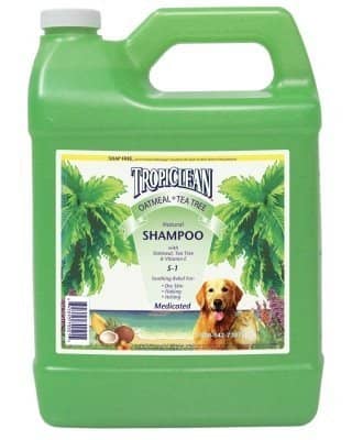 TropiClean Oatmeal & Tea Tree Medicated Itch Relief Dog & Cat Shampoo – Soothing, Moisturizing, Anti-Itch Formula
