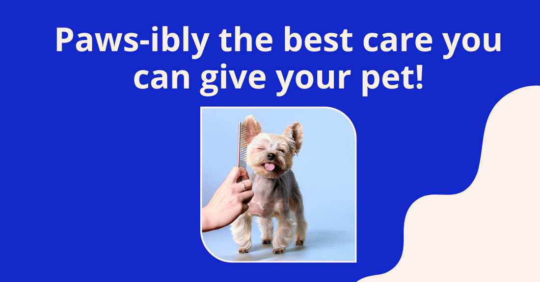 The Power of the Right Brush