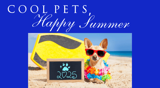 Summer Must-Haves: Indoor Loungers and Outdoor Adventurers