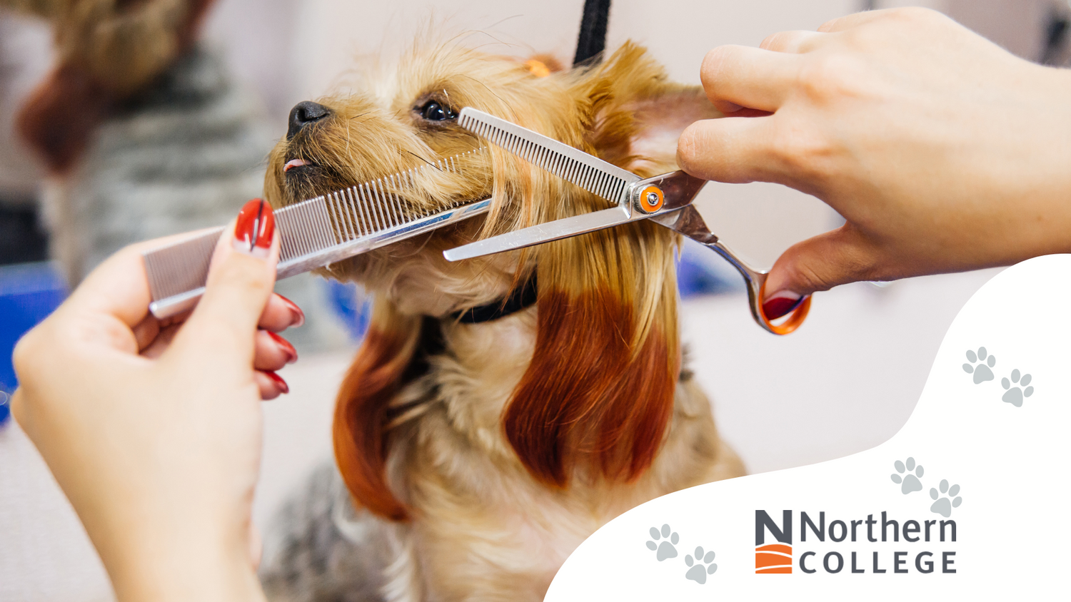 College Student Kits