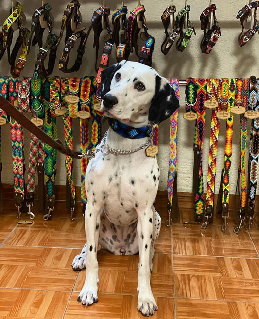 Collarpet Collar