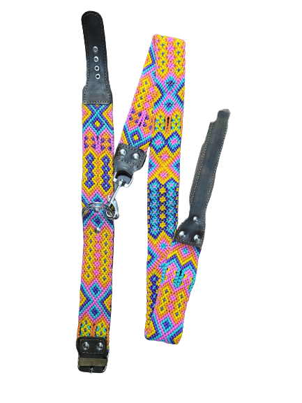 Collarpet Leash & Collar Combo