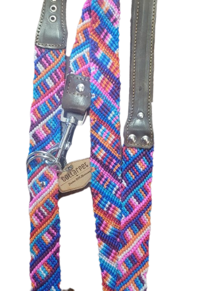 Collarpet Leash & Collar Combo