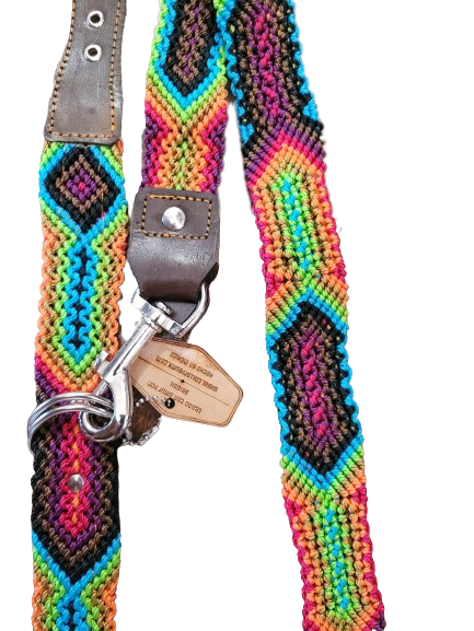 Collarpet Leash & Collar Combo