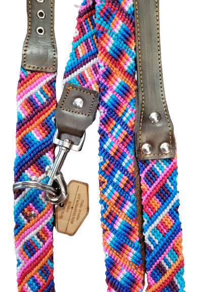 Collarpet Leash & Collar Combo