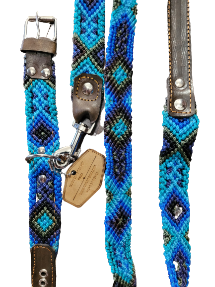 Collarpet Leash & Collar Combo