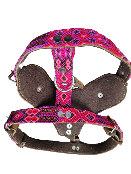 Collarpet Harness