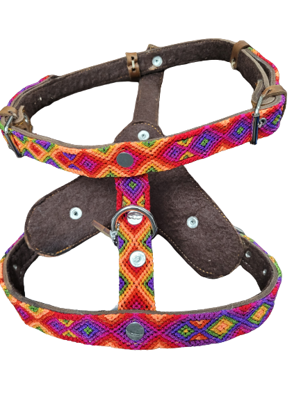 Collarpet Harness