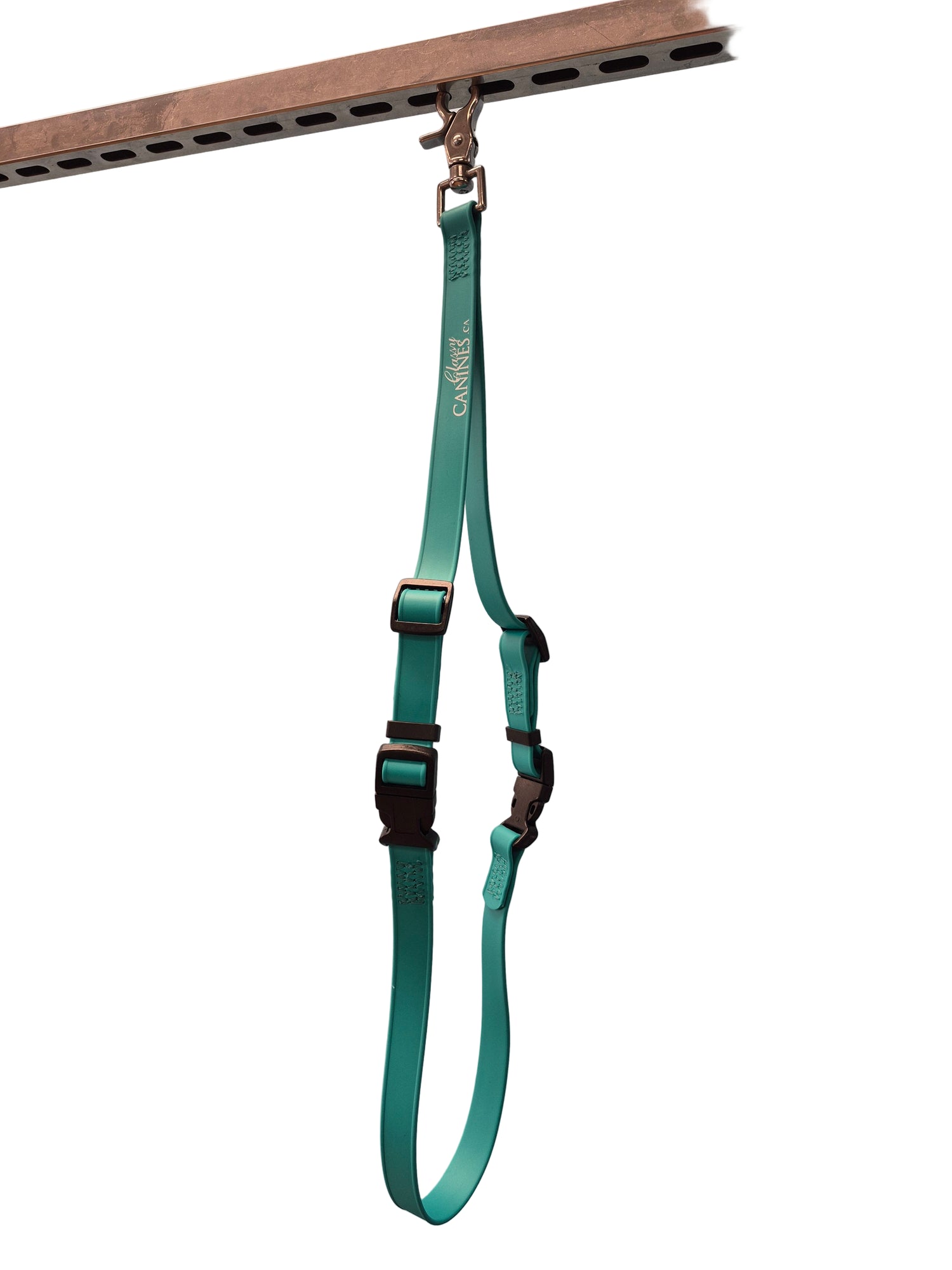 teal-3pc-belly-band