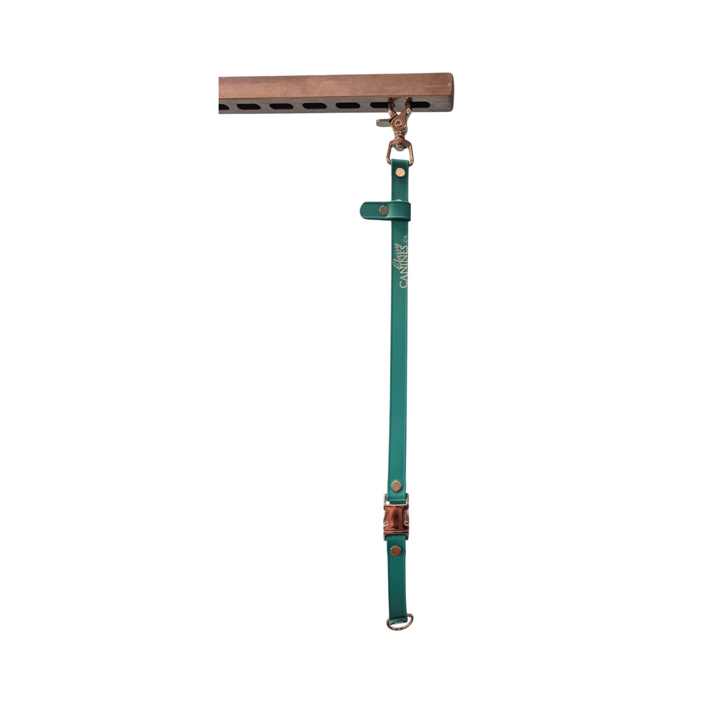 Professional Biothane Grooming Table Accessories | Canada