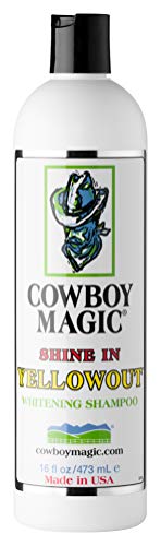 Cowboy Magic Shine in Yellowout