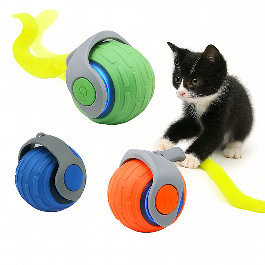 Interactive Cat Toy USB Rechargeable Type-C | Motion Toy with Auto Hibernate | Classy Canines