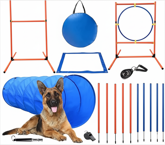 Dog Agility Training Set | Complete Obstacle Course