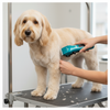Dog Grooming
