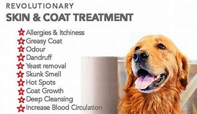 Nagayu CO₂ Spa Tablets for Pets – Original & Coconut Oil | Professional Skin & Coat Treatment for Dogs & Cats | 10ct & 100ct