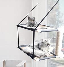 Cat Hammocks