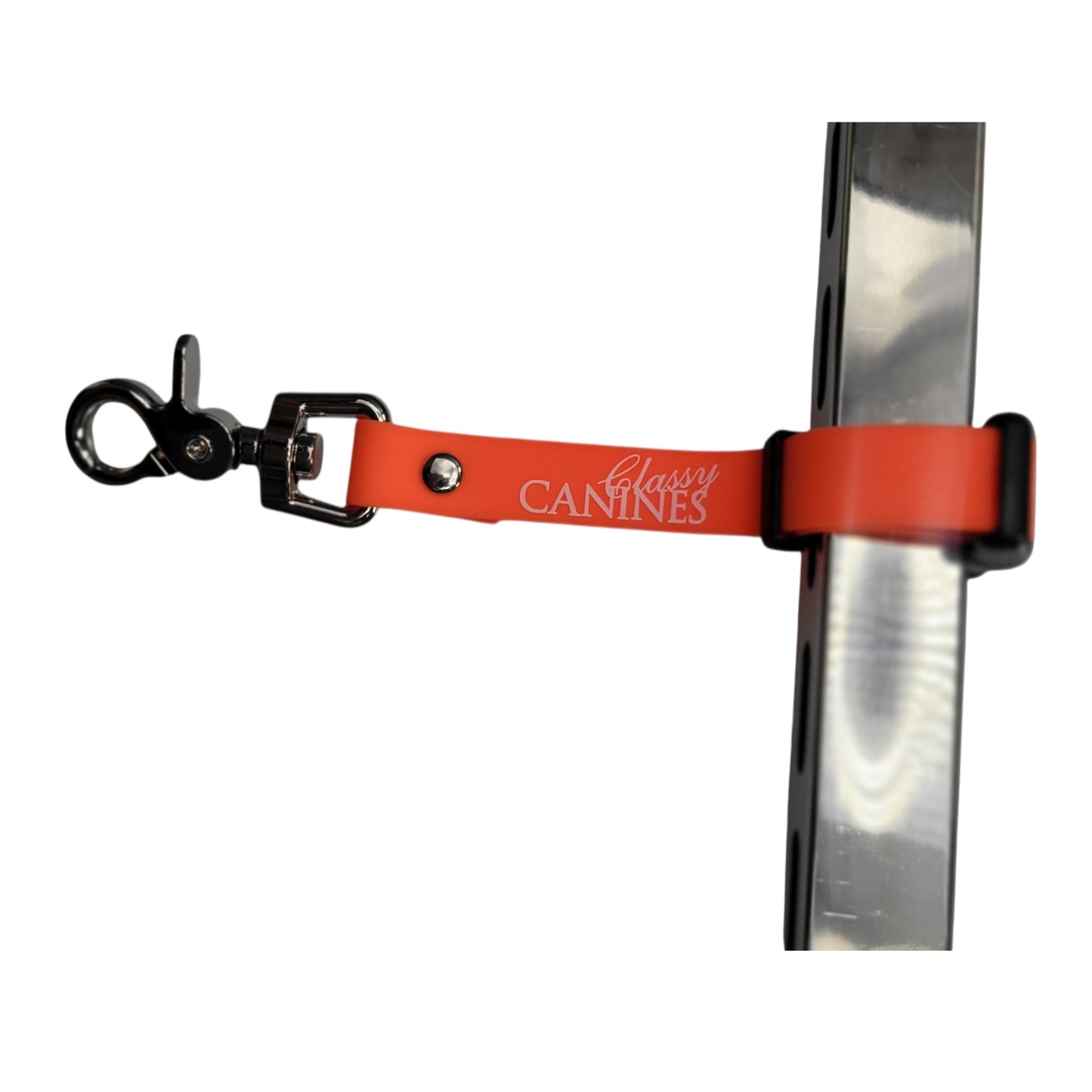 Professional Biothane Grooming Table Accessories | Canada