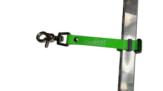 Grooming Table Accessories