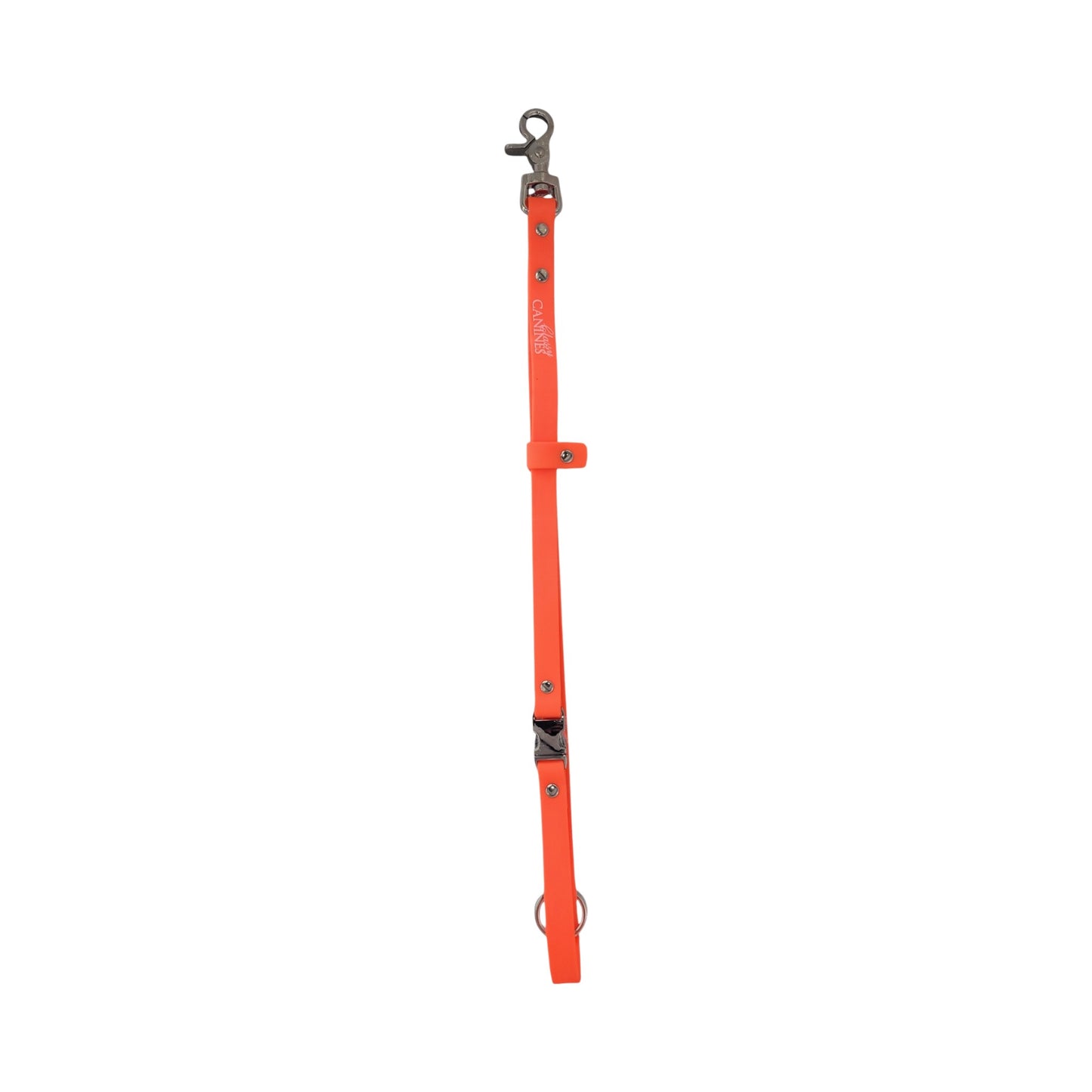 Professional Biothane Grooming Table Accessories | Canada