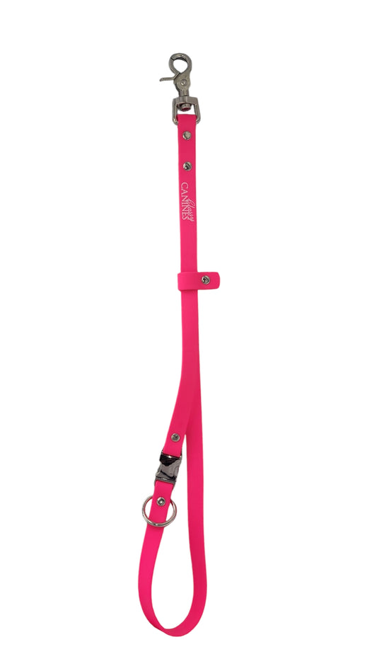 Loops, Belly Bands, Slip Leash & Groomer’s 3rd Hand