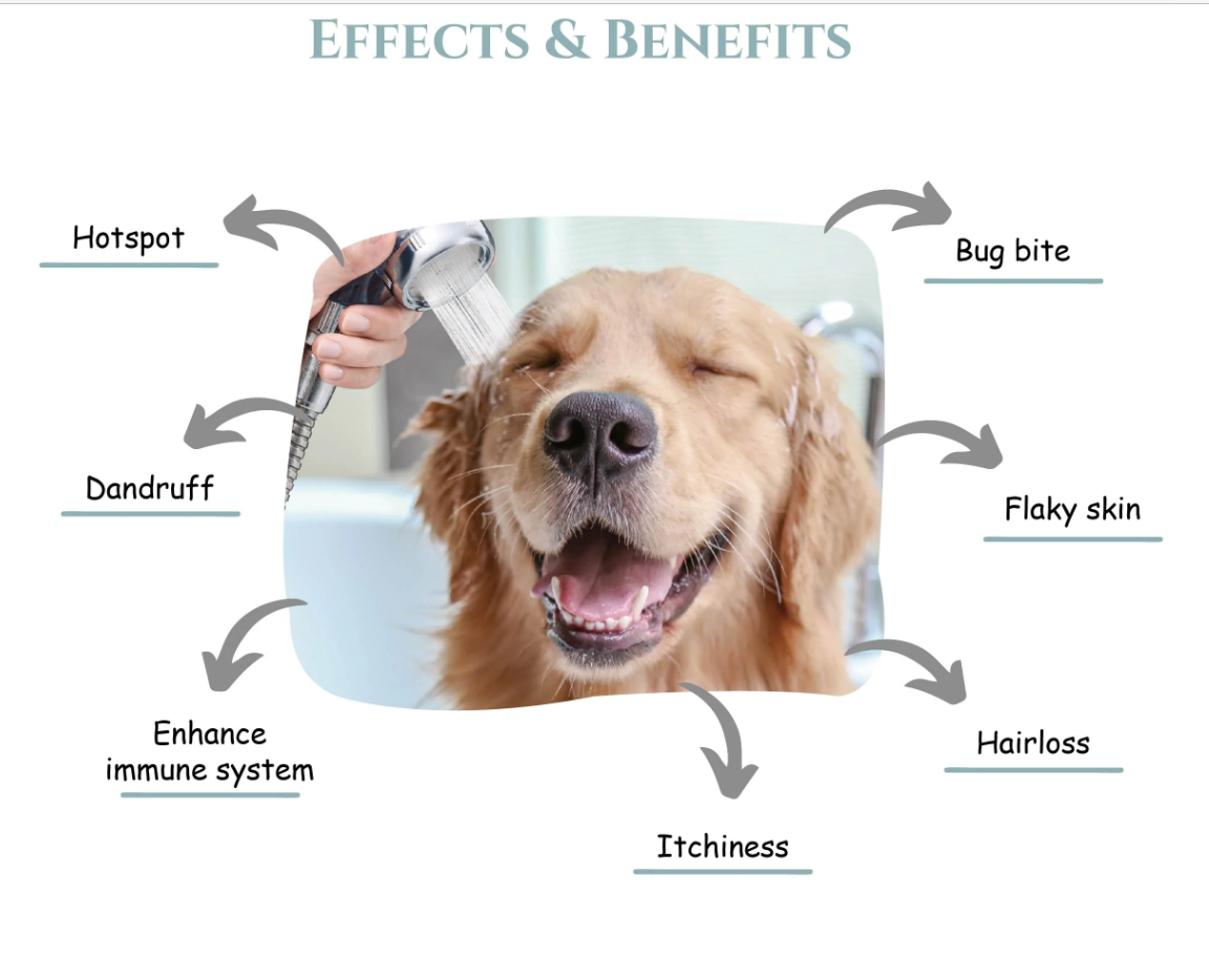 Nagayu CO₂ Spa Tablets for Pets – Original & Coconut Oil | Professional Skin & Coat Treatment for Dogs & Cats | 10ct & 100ct