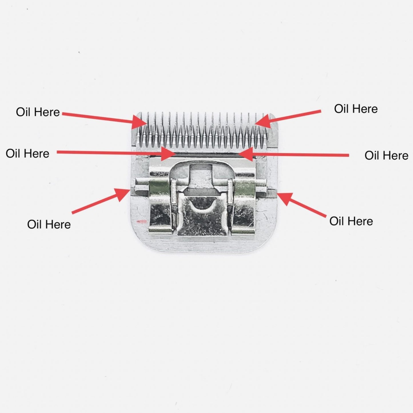 A5 detachable clipper blade maintenance diagram showing five oiling points on the blade