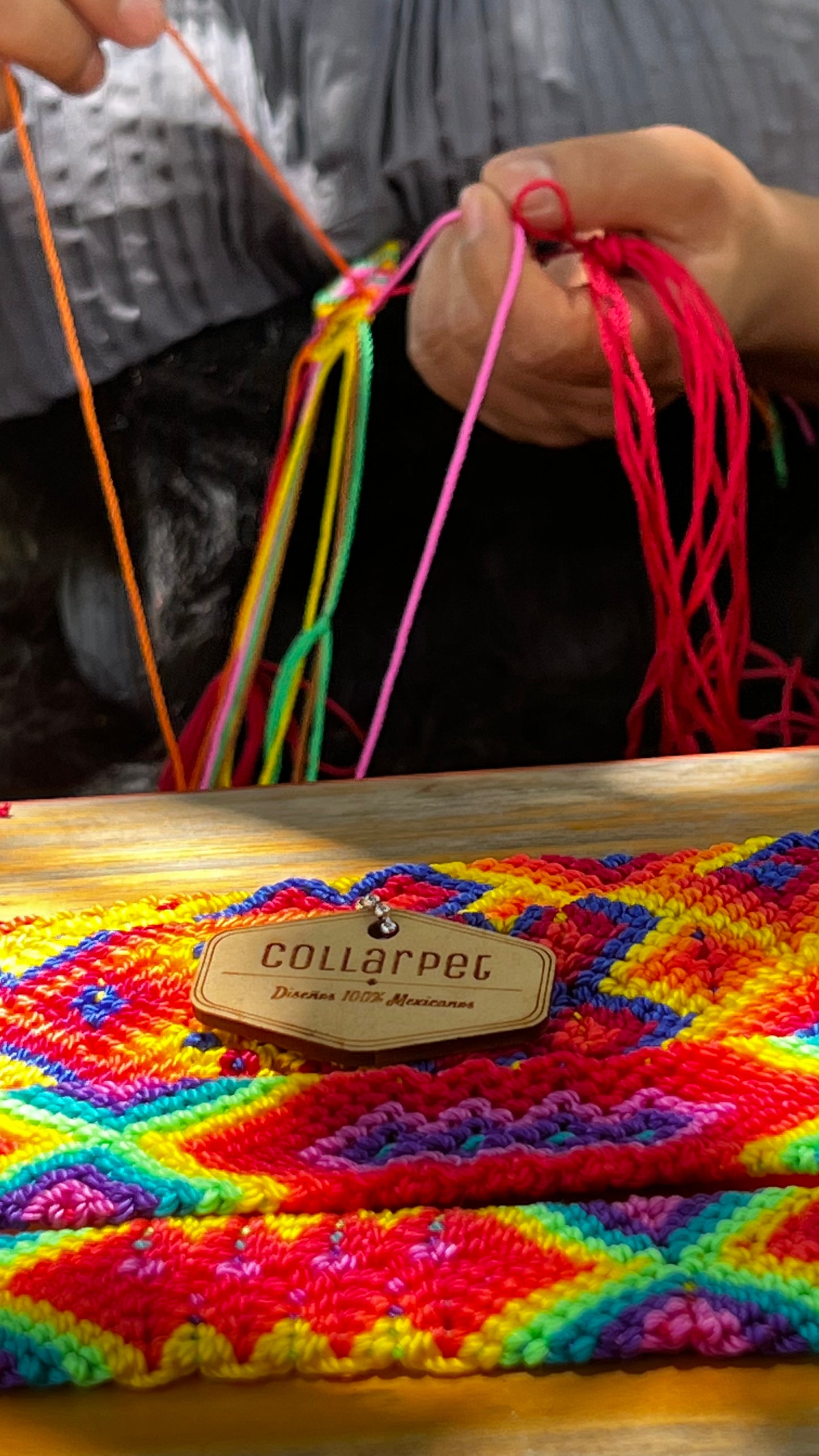 Collarpet Leash & Collar Combo