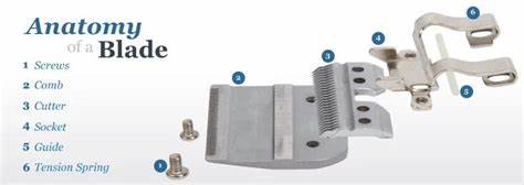 Andis Blade Screws