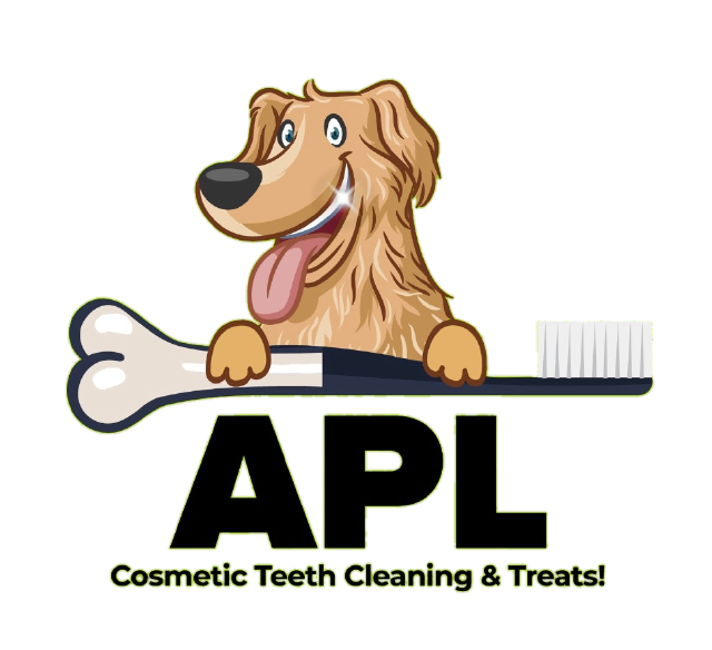 Cosmetic Teeth Cleaning for Pets in Kingston