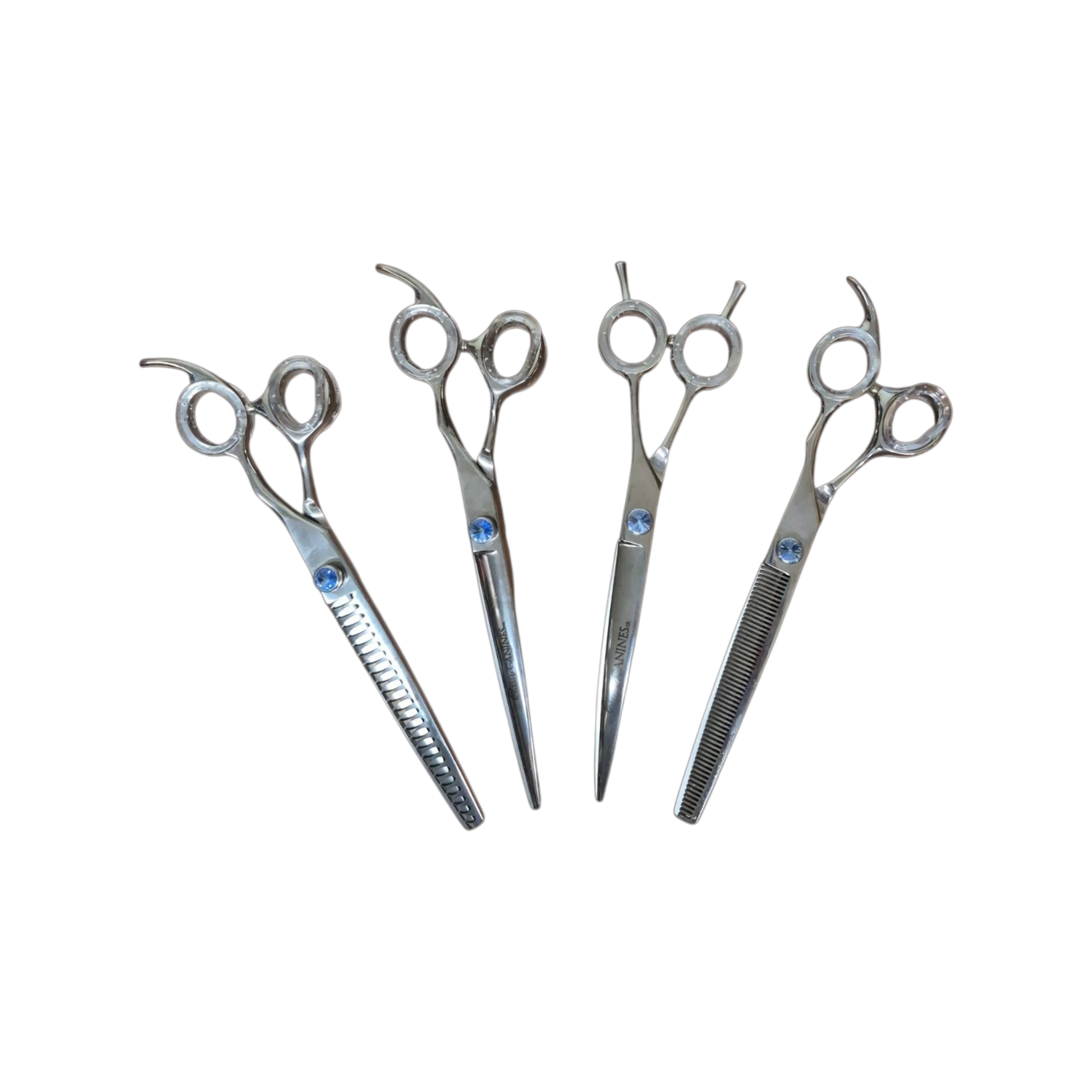 Classy Canines 7.5" professional grooming scissor set with straight, curved, thinning, and grooming scissors