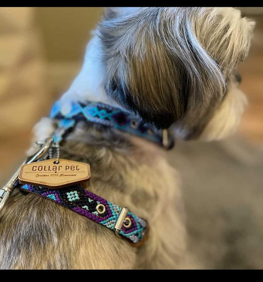 Collarpet Harness