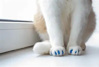 Kitty Caps - All 4 feet