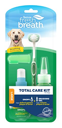 Fresh Breath Oral Care Kits
