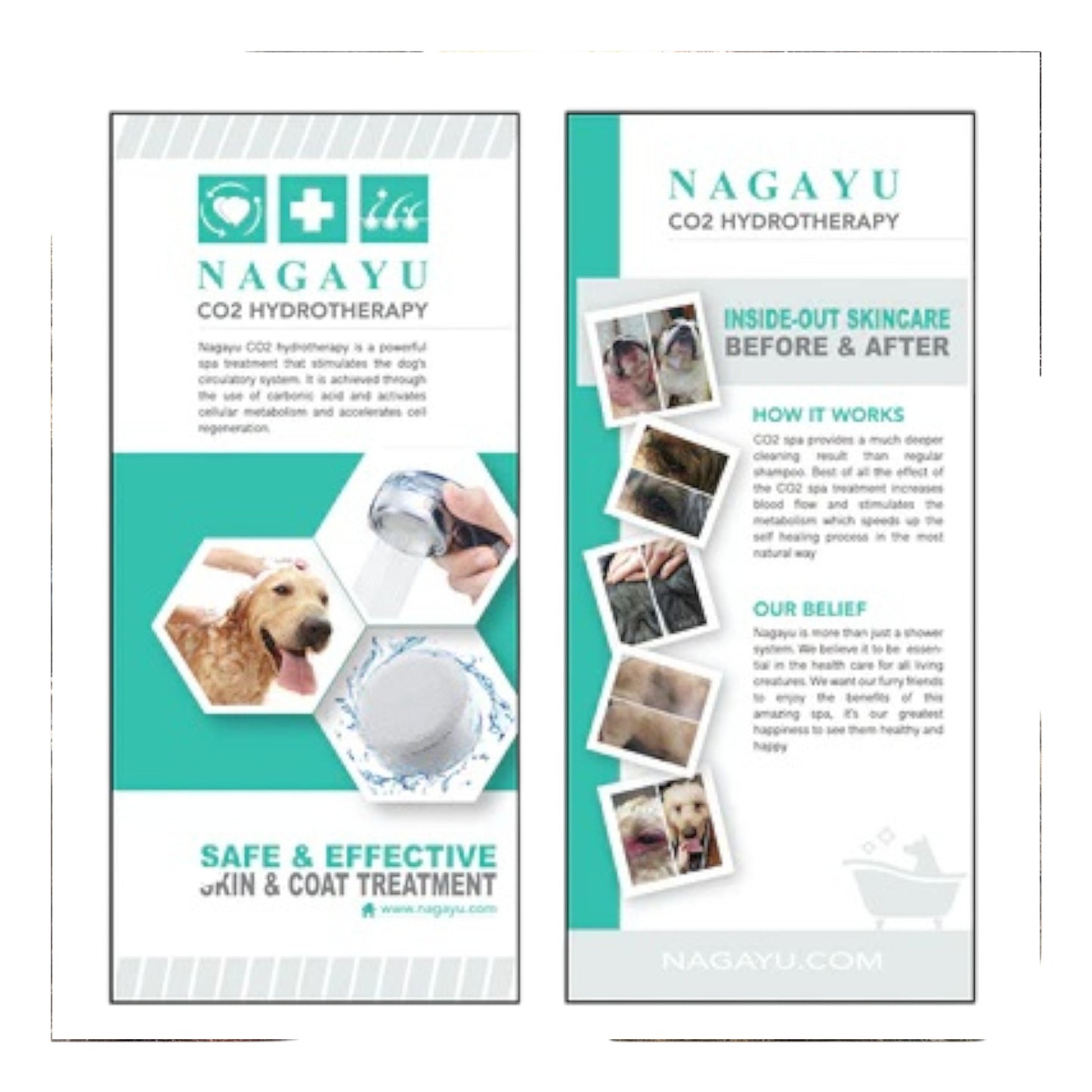 Nagayu CO₂ Spa Tablets for Pets – Original & Coconut Oil | Professional Skin & Coat Treatment for Dogs & Cats | 10ct & 100ct