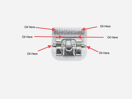 H-42 Clean Clippers Bundle